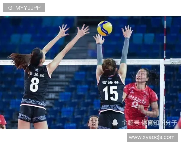 弗赖堡德甲赛场惊现黑马实力堪比豪门球队