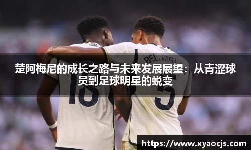 球速体育手机最新版本